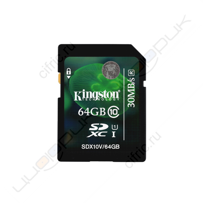 Kingston SDX10V64GB